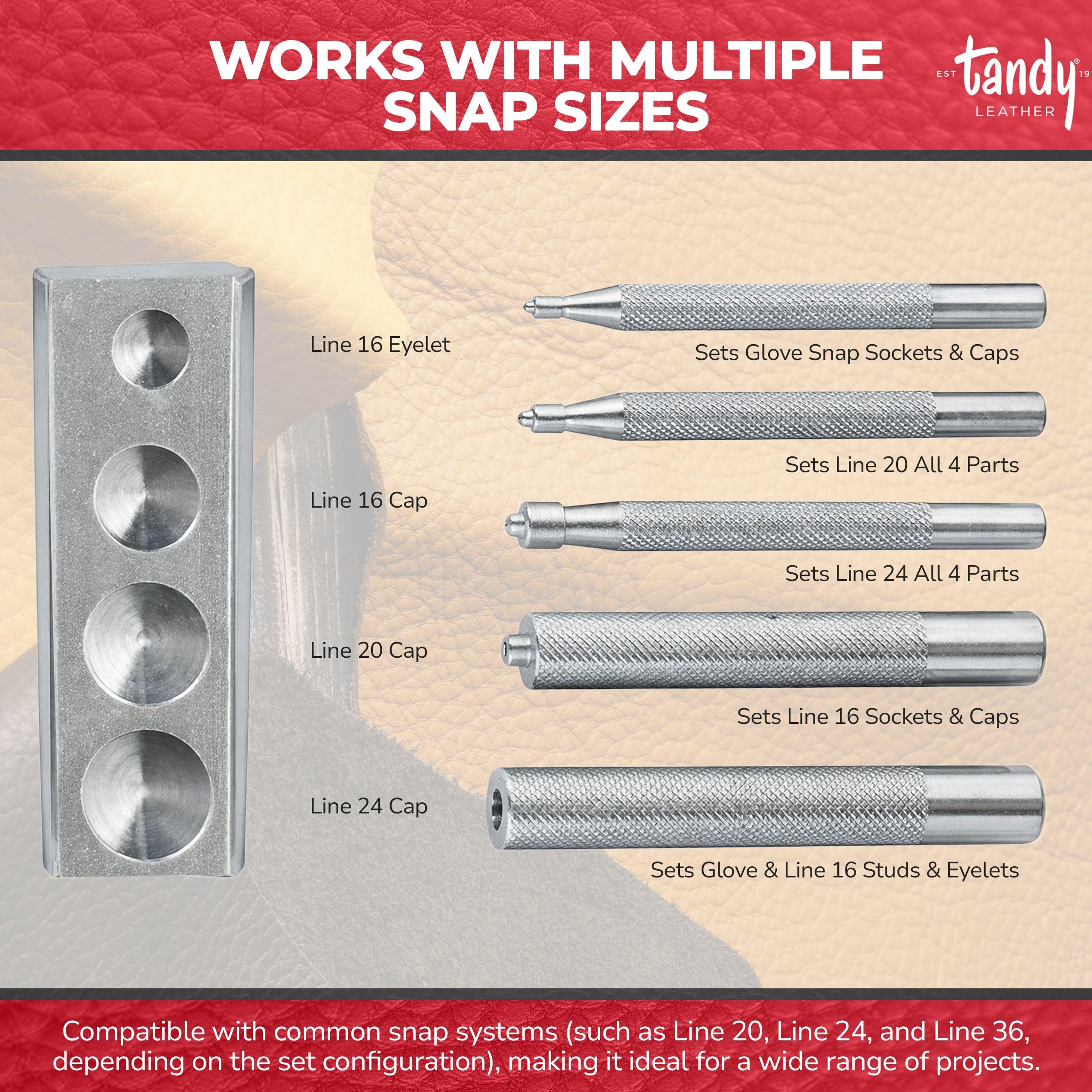 Amazon.com: Tandy Leather Snap-All Snap Setter Set - Clean Snap